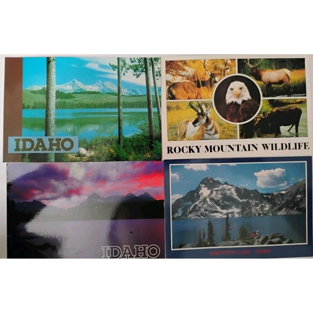 Lot of 4 Vintage Idaho Travel Postcards Sawtooth Lake Rocky Mountain Wildlife